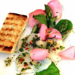 Carpaccio på pilgrimsmussla med rosenolja och mynta Carpaccio på pilgrimsmussla med rosenolja och mynta