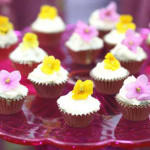 Violcupcakes Violcupcakes